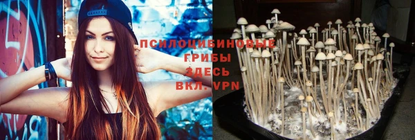 PSILOCYBIN Алексеевка