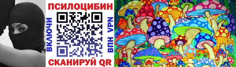 Галлюциногенные грибы Psilocybe  Энгельс 