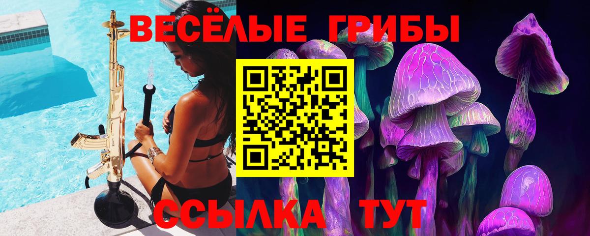 Галлюциногенные грибы Psilocybe Энгельс