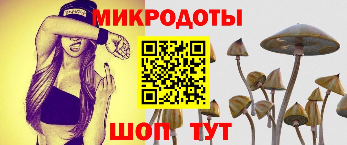 Энгельс  Псилоцибиновые грибы Cubensis  Псилоцибиновые грибы Cubensis  как найти закладки  Вход с VPN 